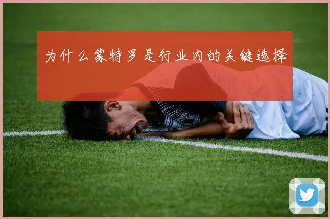 为什么蒙特罗是行业内的关键选择