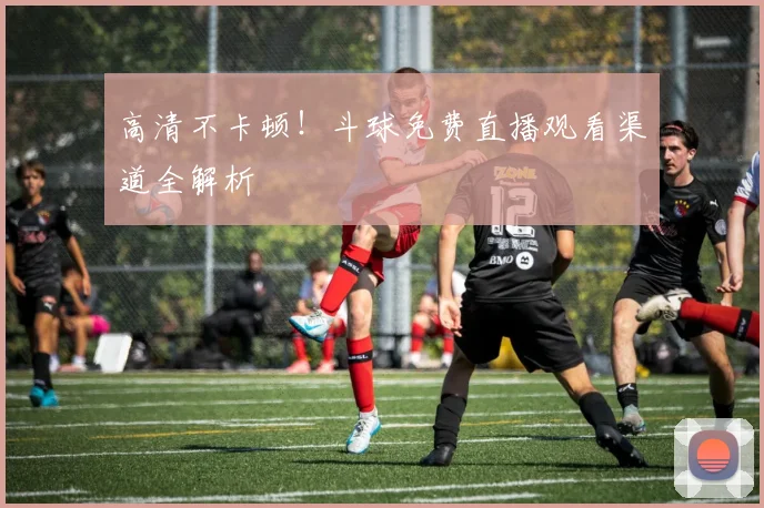 高清不卡顿！斗球免费直播观看渠道全解析