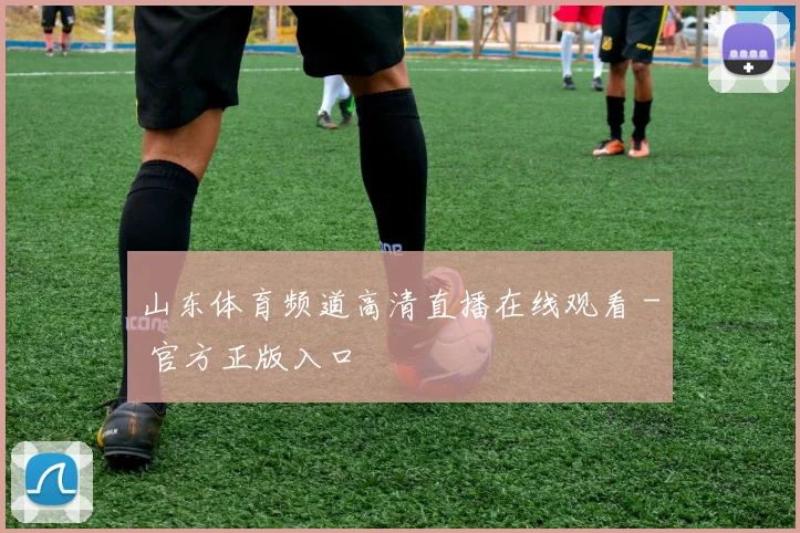 山东体育频道高清直播在线观看 - 官方正版入口