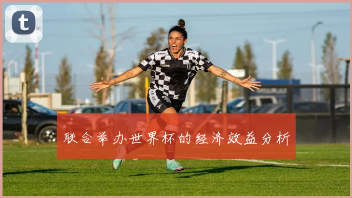联合举办世界杯的经济效益分析
