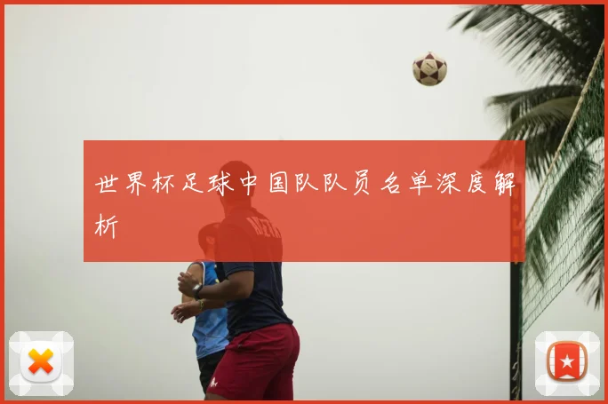 世界杯足球中国队队员名单深度解析