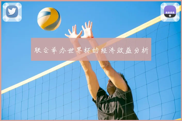 联合举办世界杯的经济效益分析