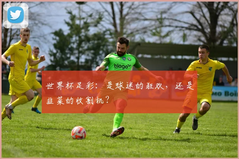 世界杯足彩：是球迷的狂欢，还是韭菜的收割机？