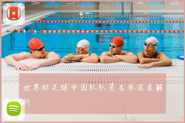 世界杯足球中国队队员名单深度解析