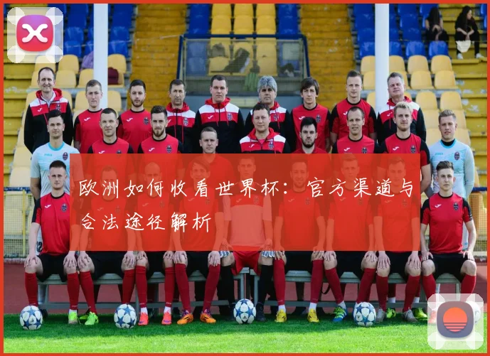 欧洲如何收看世界杯:官方渠道与合法途径解析