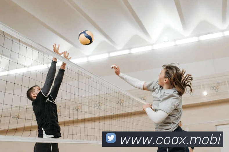 爱体育电子官方网站发展历程